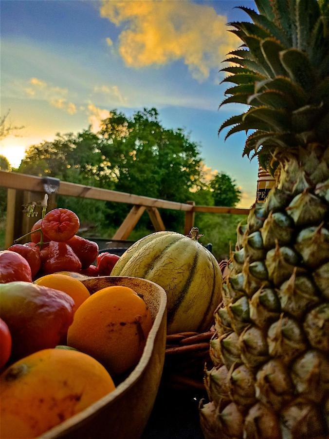 Hotel Evasion Guadeloupe Saint-Francois  Esterno foto